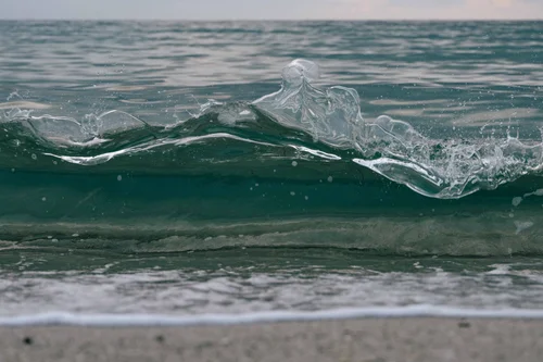 A small wave curling and breaking close to shore, green water over pale sand, Miami Beach.