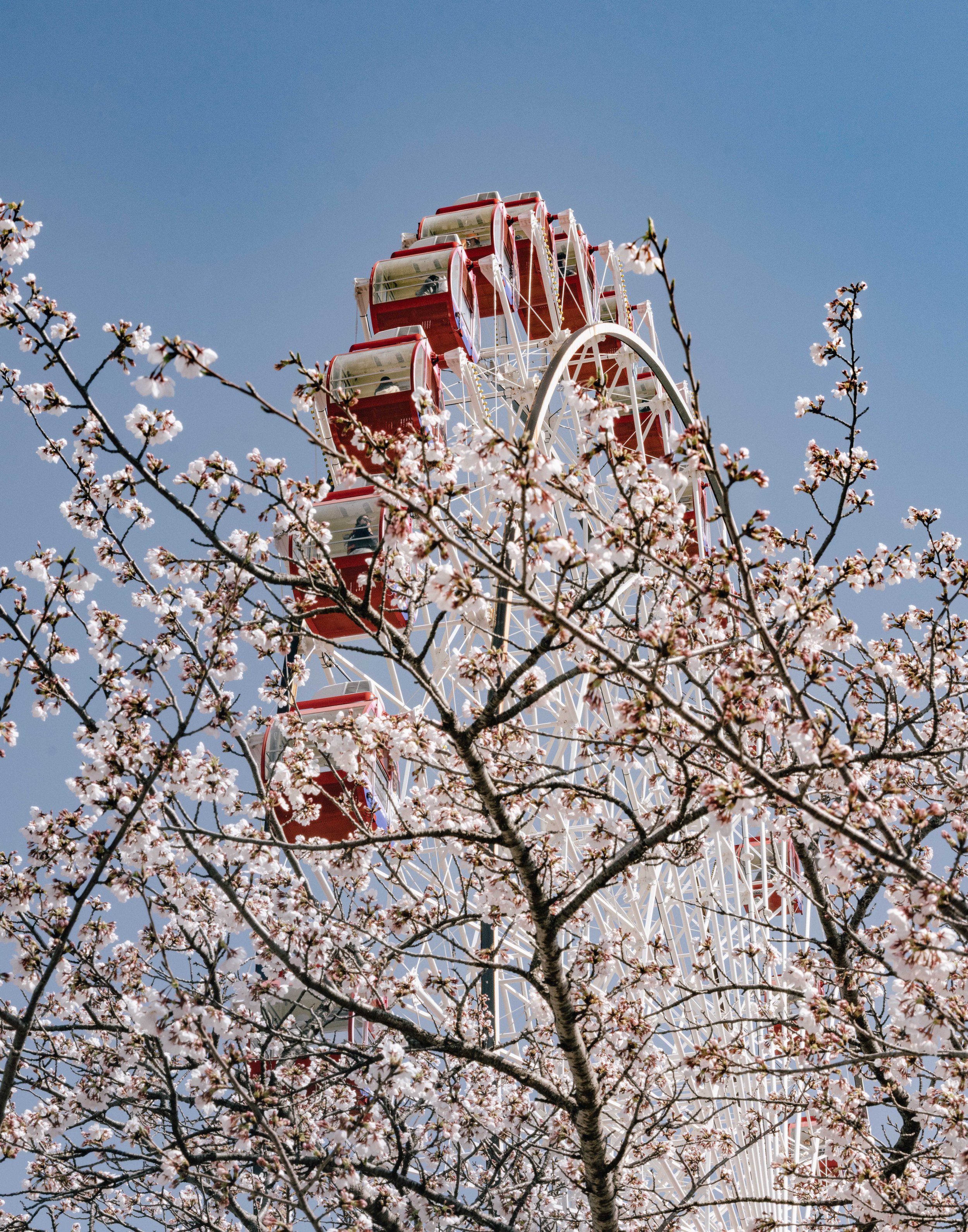 2025-04-04 to 06-2.jpg