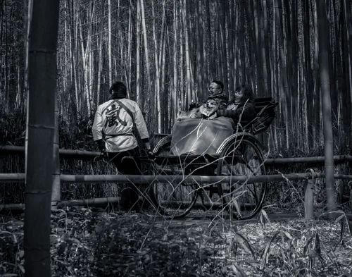 A rickshaw and its driver passing through a tall bamboo grove, Kyoto, in black and white.