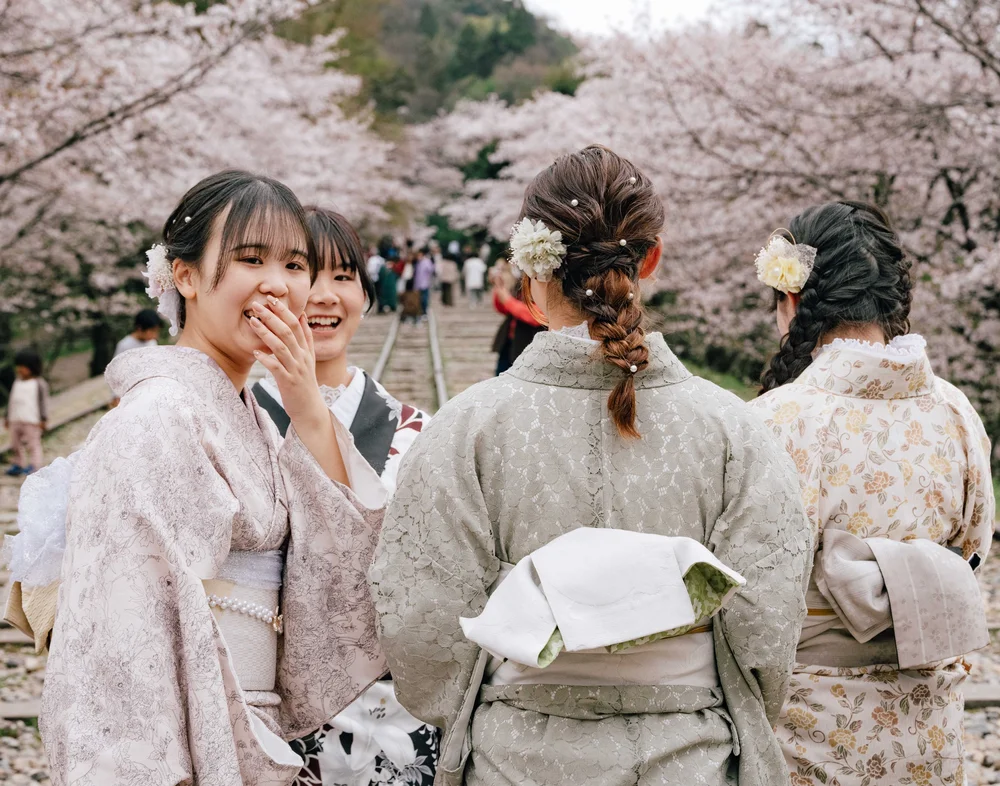 Two young women in kimono beneath cherry blossom, one laughing behind her hand, Kyoto.