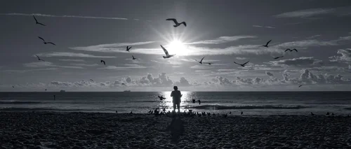 Birds crossing a low sun over the sea, a group of people silhouetted at the shoreline, Miami Beach.