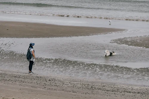 A lone figure standing on the wet sand at Portmarnock beach, Dublin, gulls scattered along a shallow channel where the tide has pulled out.