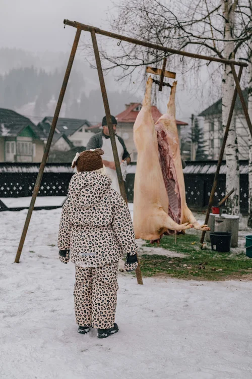 A person in patterned winter dress standing beside a pig carcass hung on a wooden frame in the snow, part of the winter pig-slaughter tradition, Bucovina, Romania.