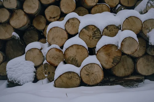 A stack of cut logs seen end-on, their tops dusted with fresh snow, Bucovina, Romania.