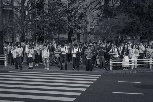A crowd waiting at a pedestrian crossing in the city, Tokyo, in black and white.