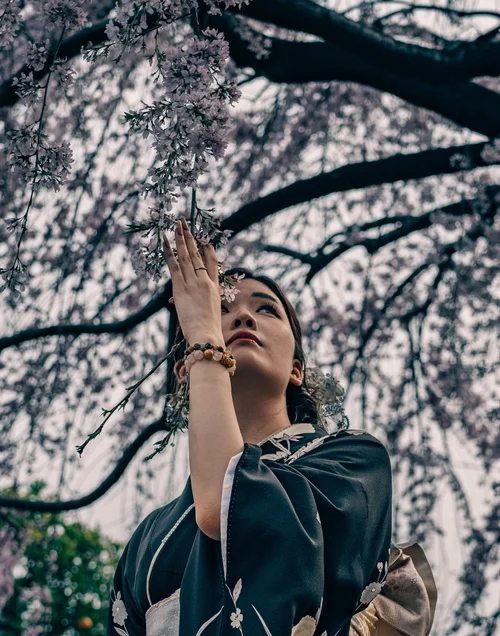 A young person reaching up toward blossom branches, gaze lifted, at Senso-ji, Tokyo.