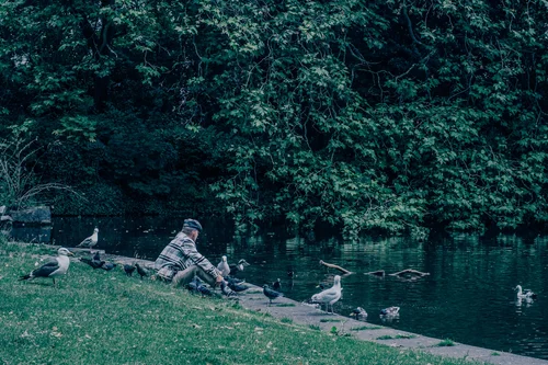 People resting on the grassy bank beside the lake in St Stephen's Green, Dublin, ducks gathered at the water's edge beneath the trees.