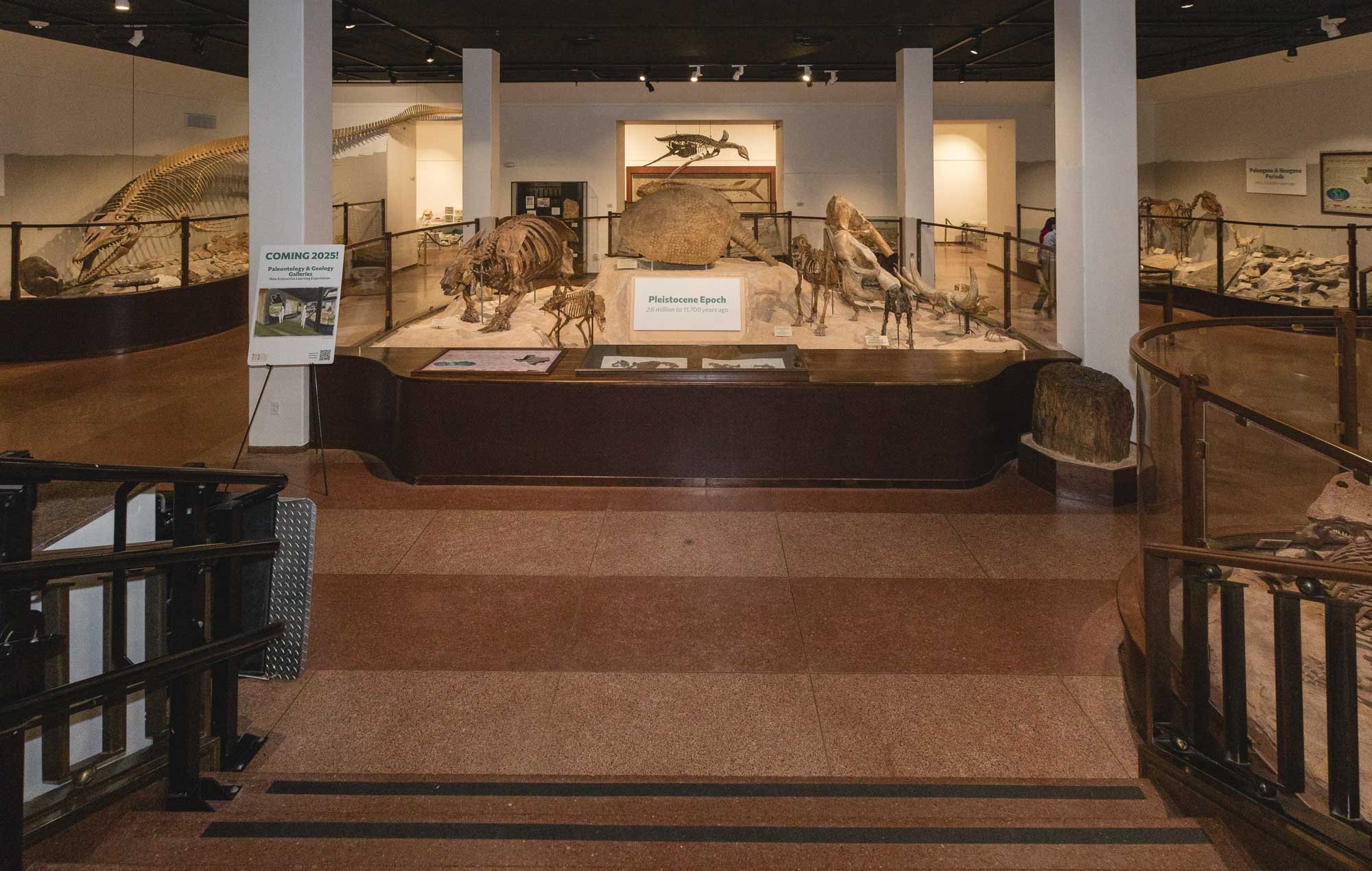 3_Dino Hunting-039.jpg