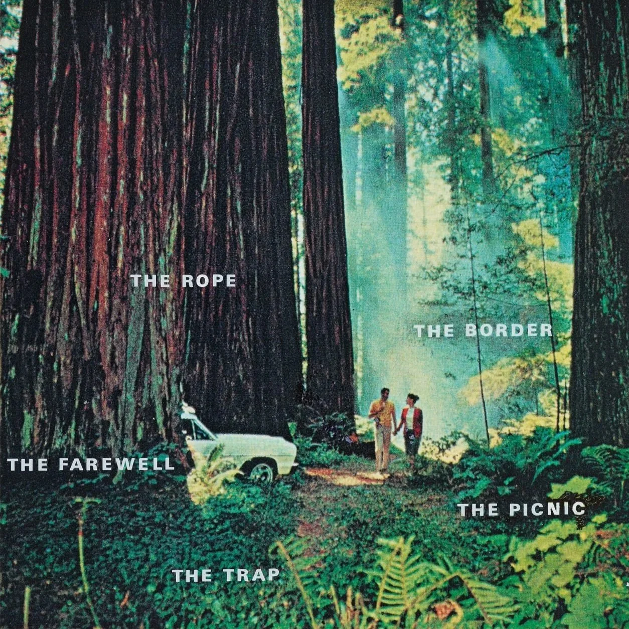 Shifting Images: A Conversation with Tine Melzer