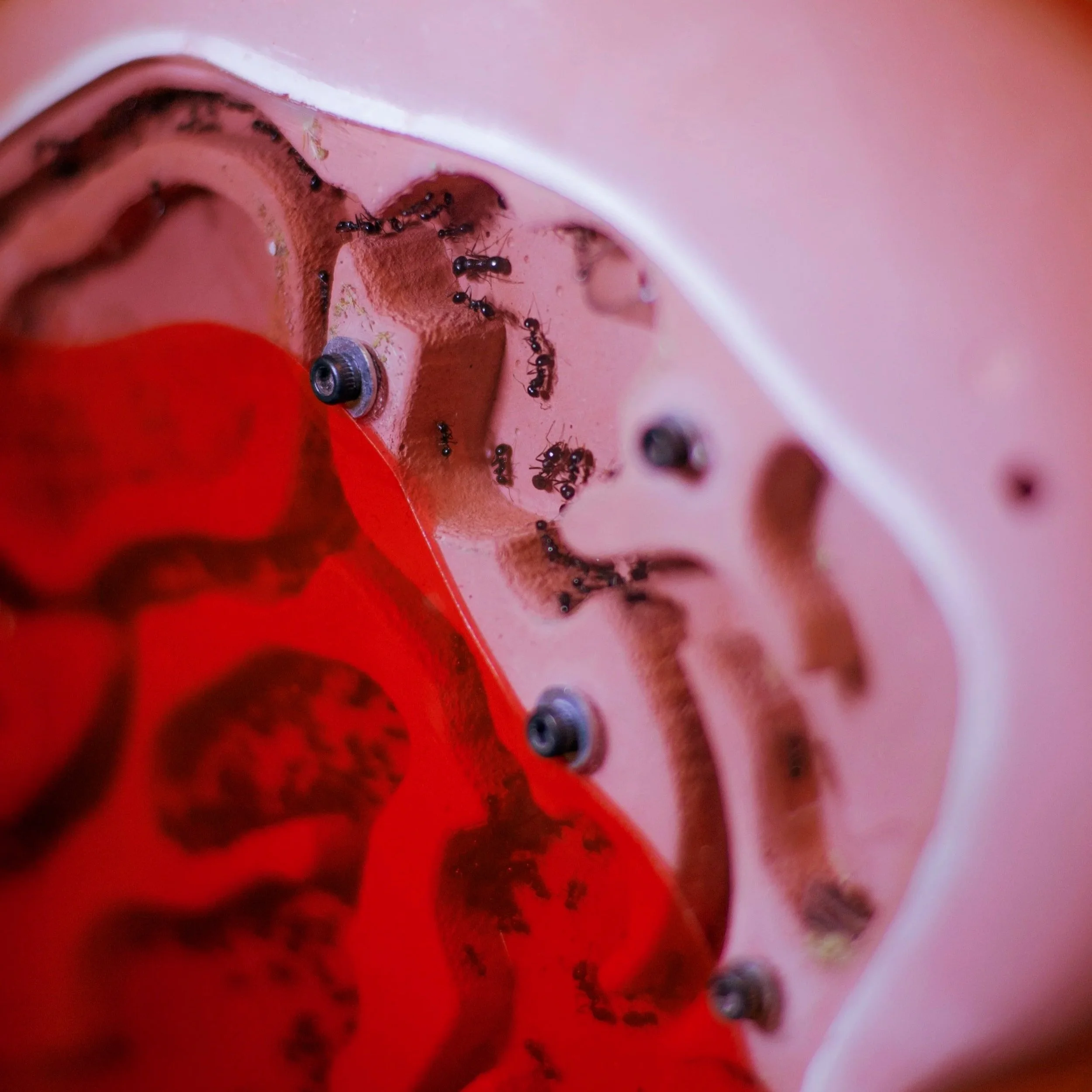 Een Schizoanalyse van PUK*