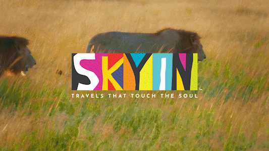 Text overlay with colorful letters spelling 'SKYIN!' on a grassy plain with a lion and a lioness nearby, under a partly cloudy sky.