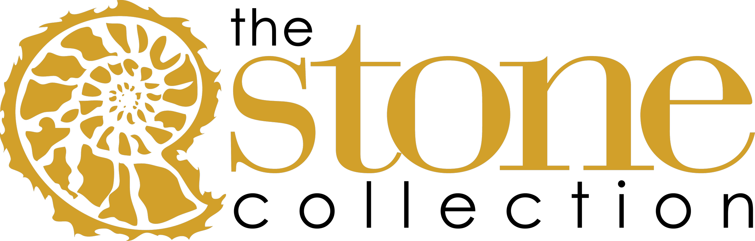 Logo with a black background, a gold spiral shell design on the left, and the word 'stone' in gold serif font on the right.