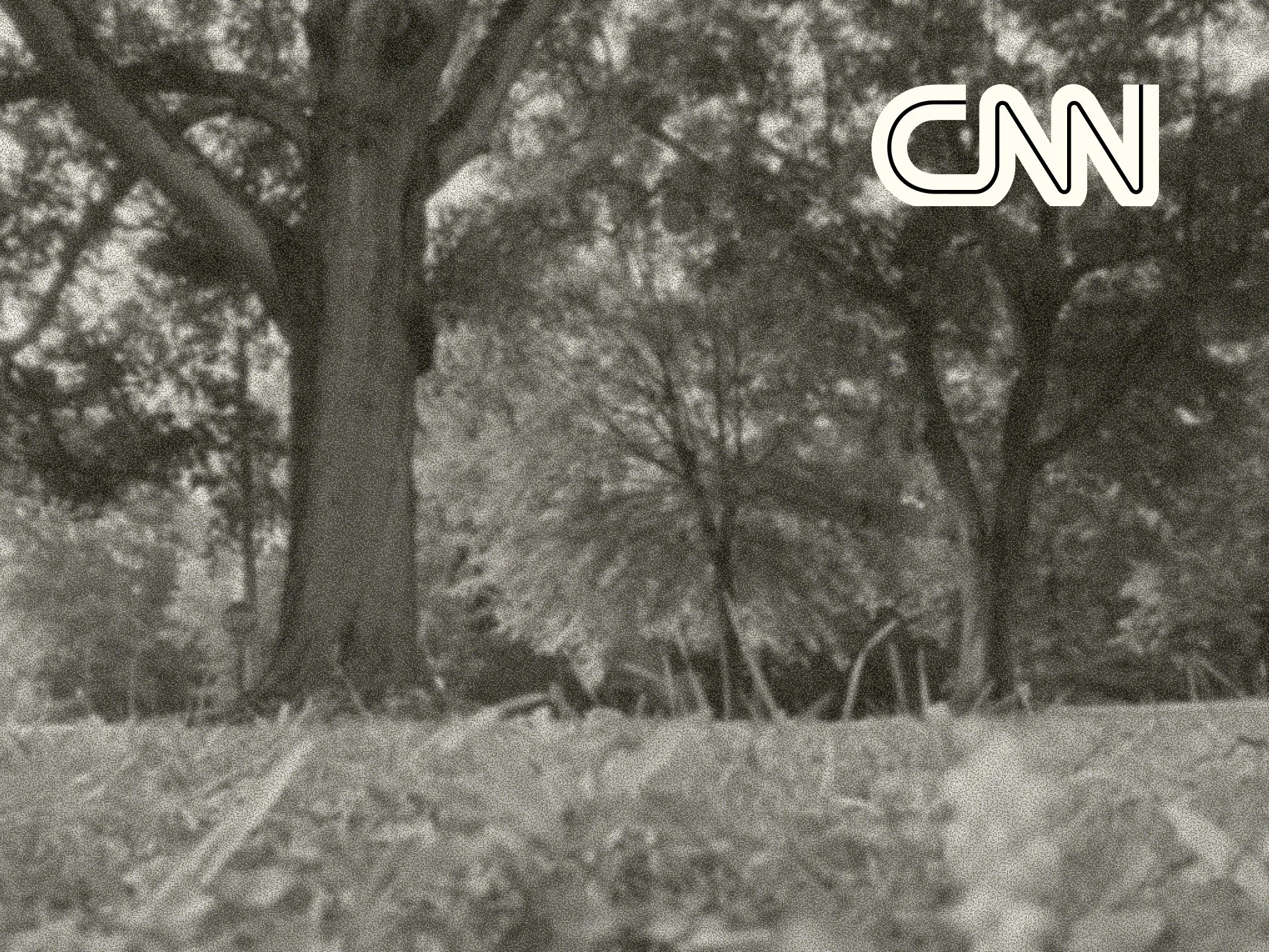 KKW-Article-CNN-WhatThreatens.jpg