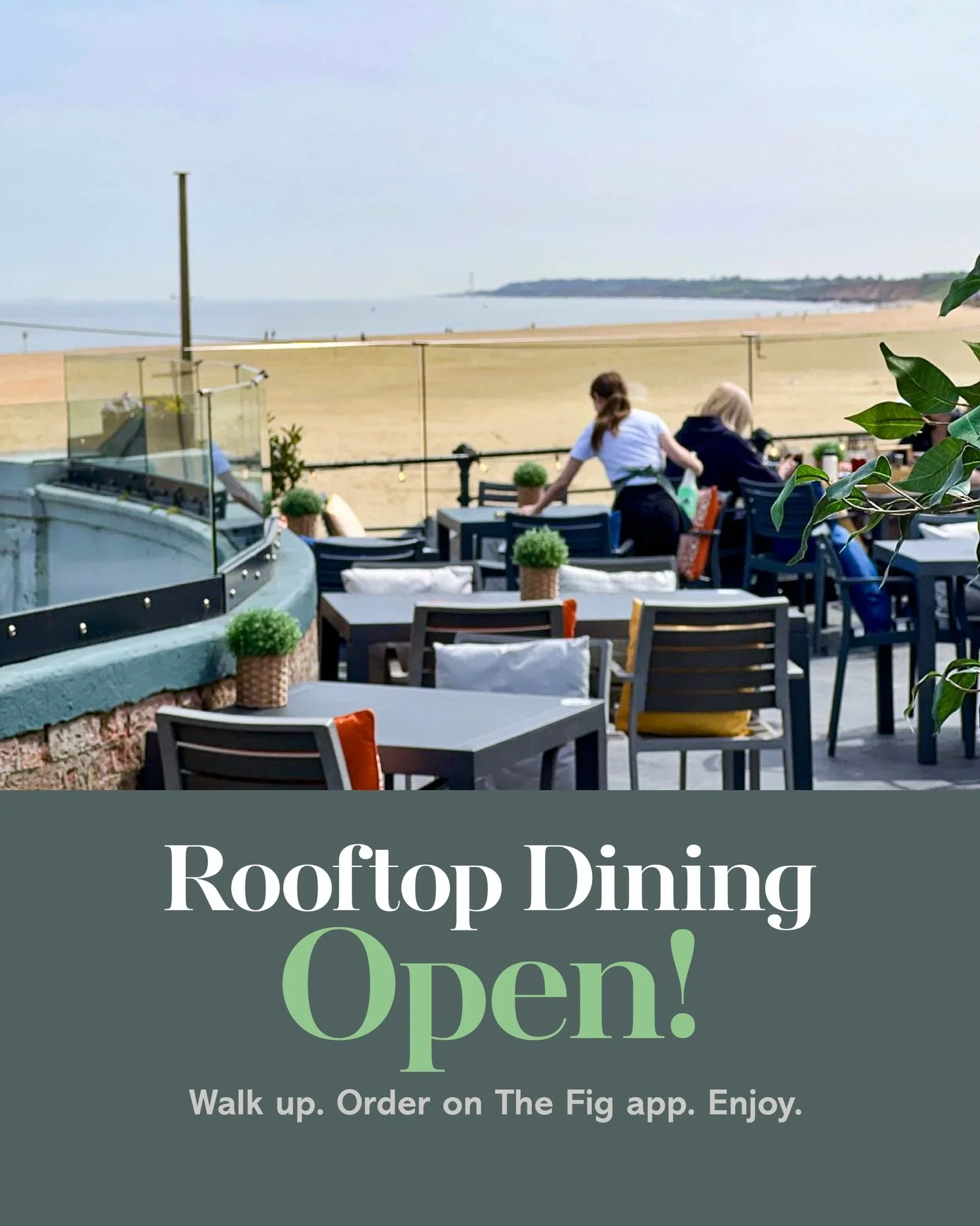 The Fig Roof top is open