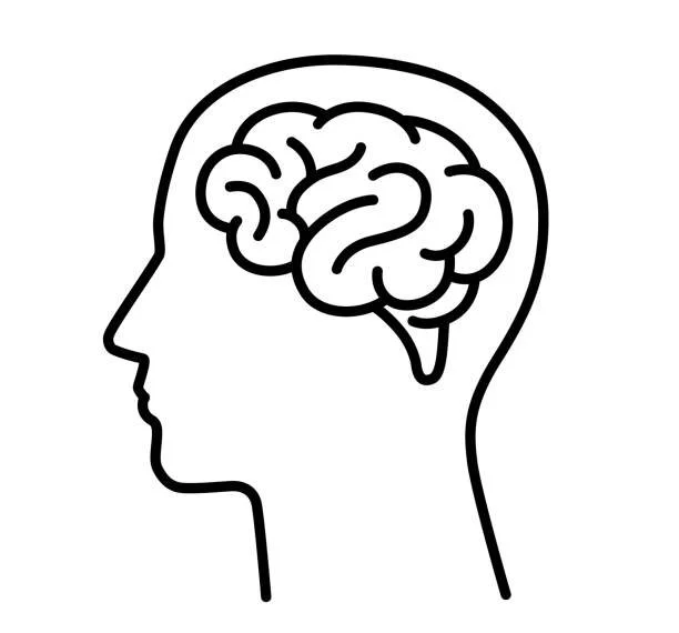 Neuro & Clinical skills - CN7-12 & Otoscopy