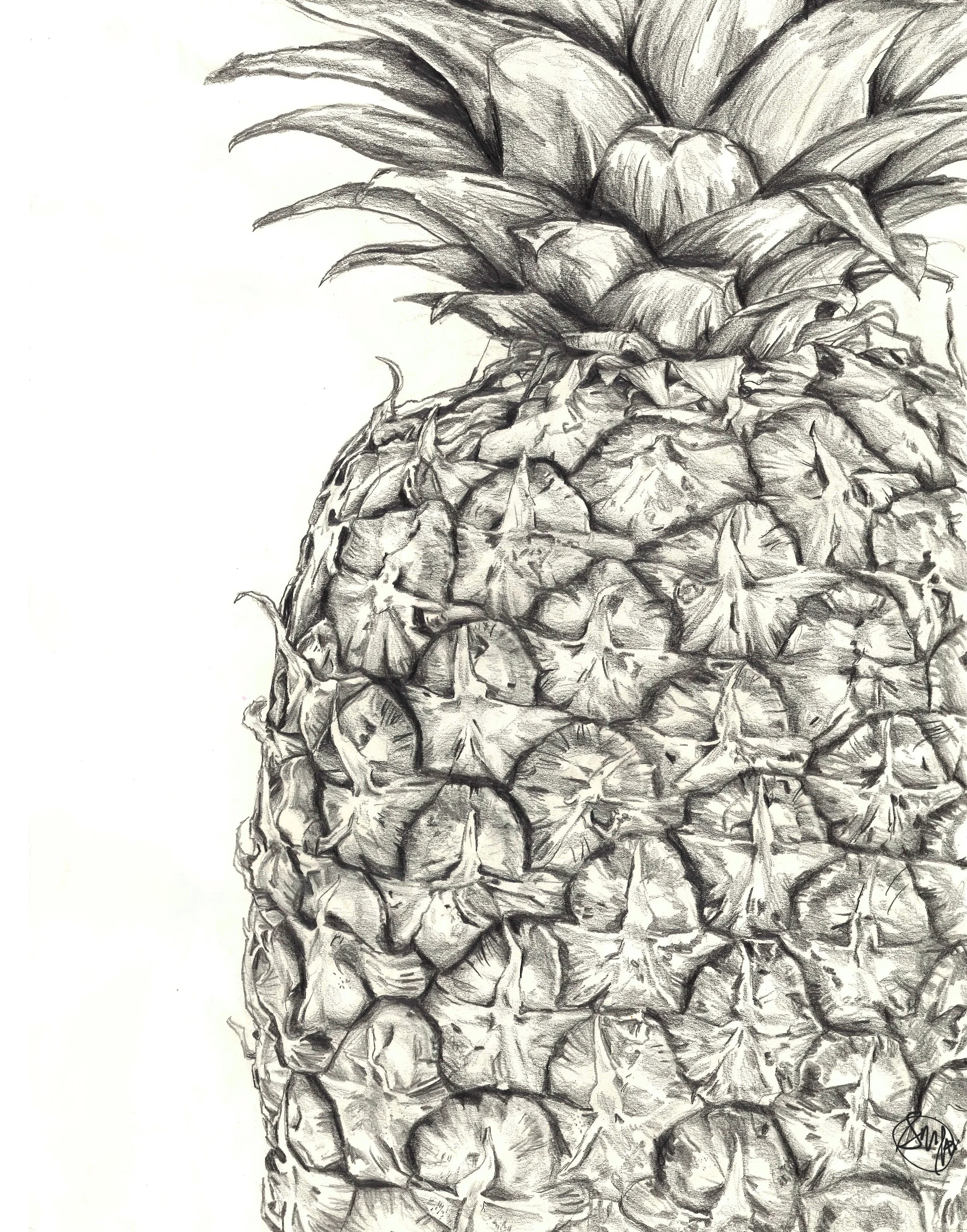Pineapple with signature (1).jpg