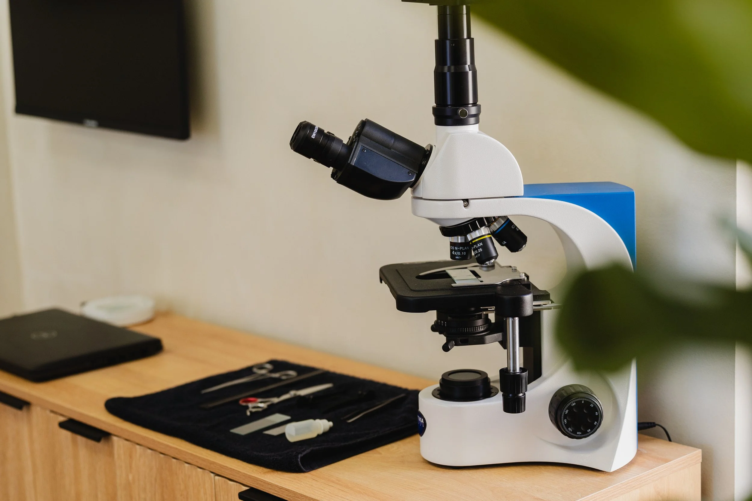 Hair and Scalp Analysis