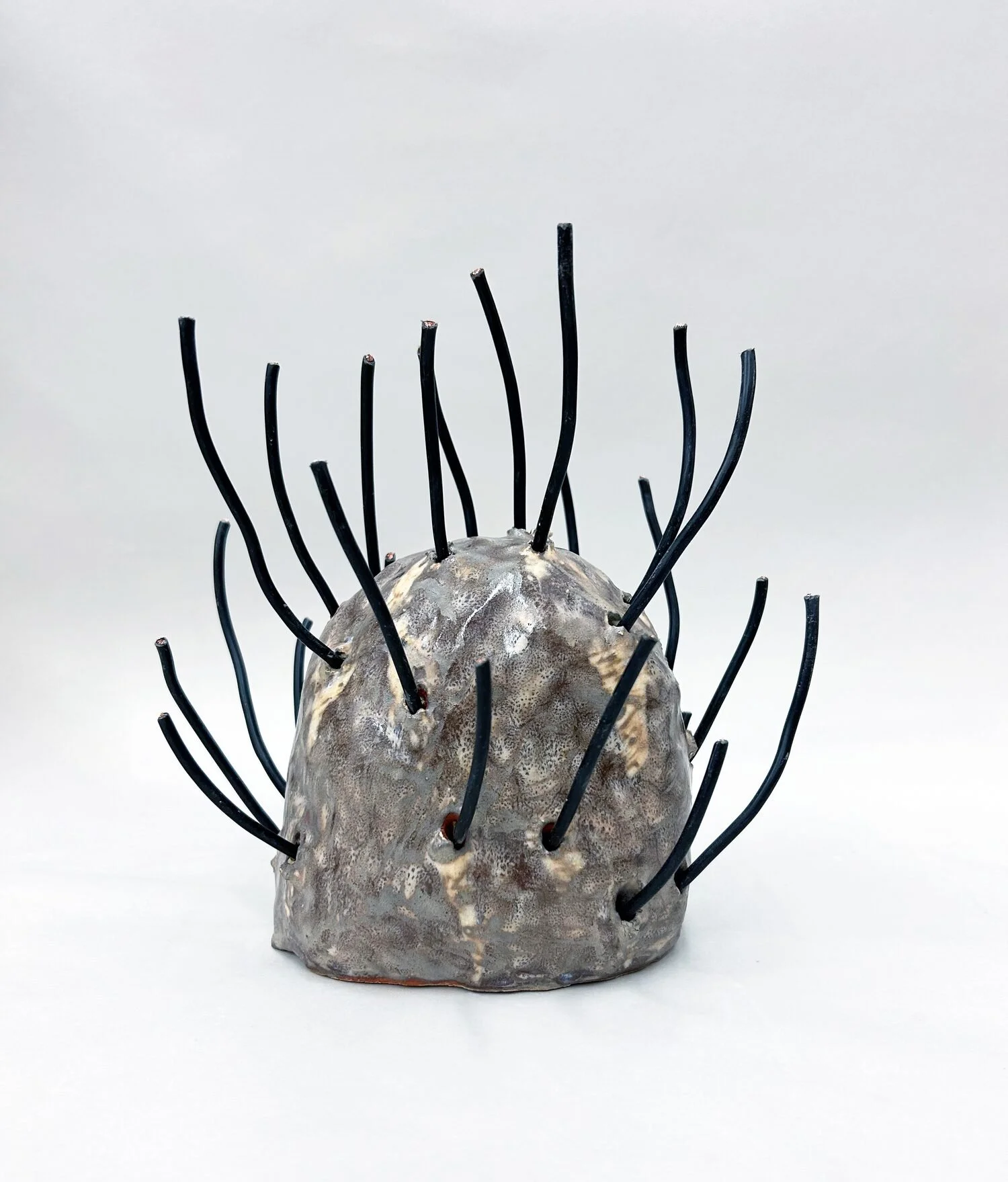  Flora/Fauna #1, 2023  Ceramic and wire  8 × 7 × 6 inches  