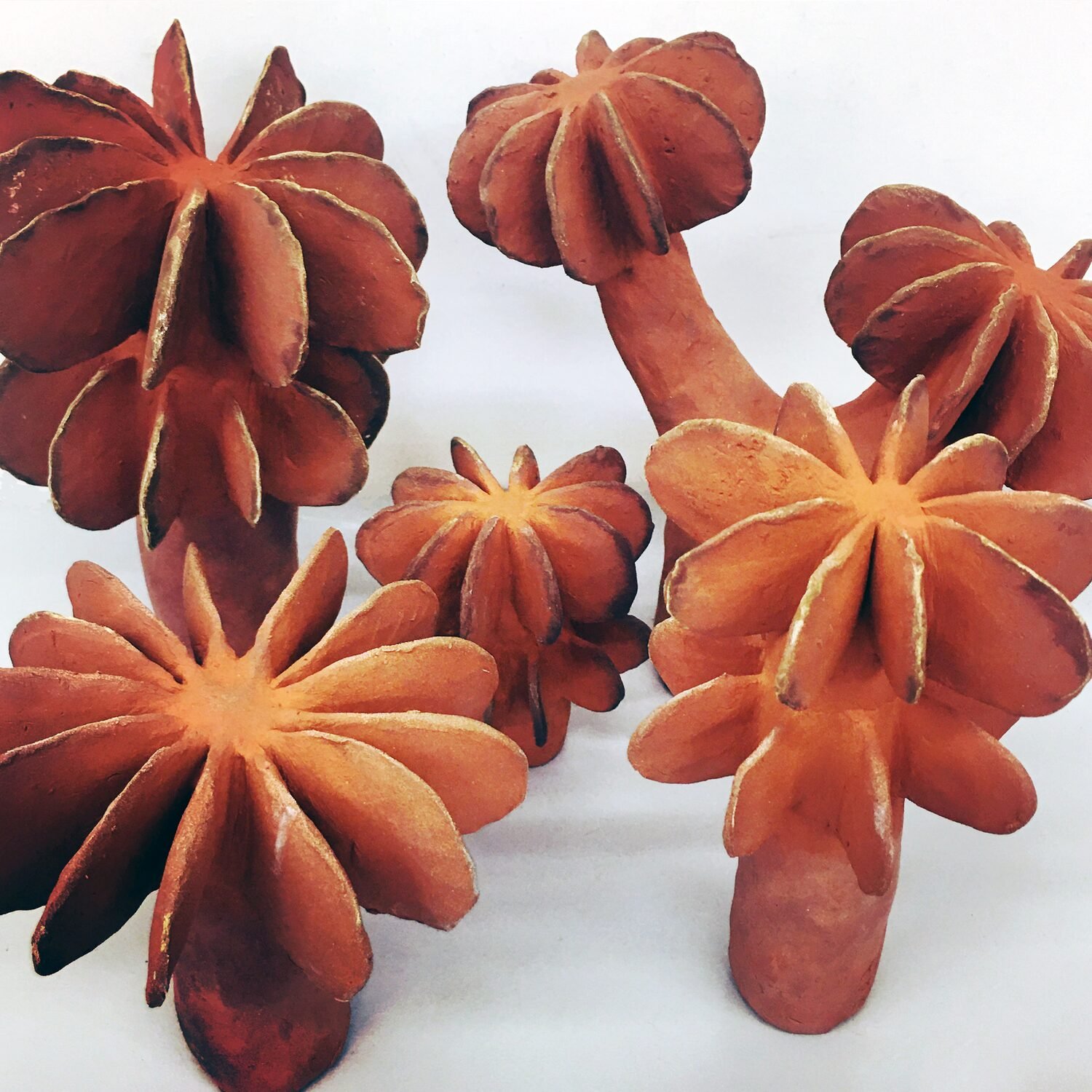 bouquet-garni_04_d__1_.jpg