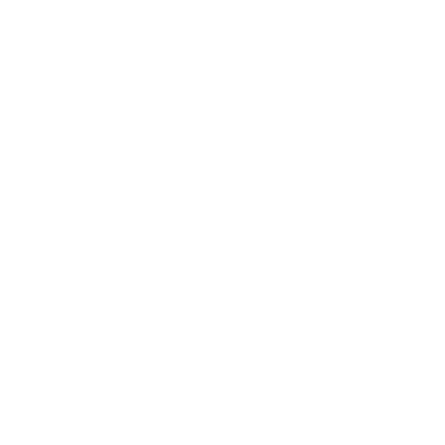 stain-and-steel-logo-white.png