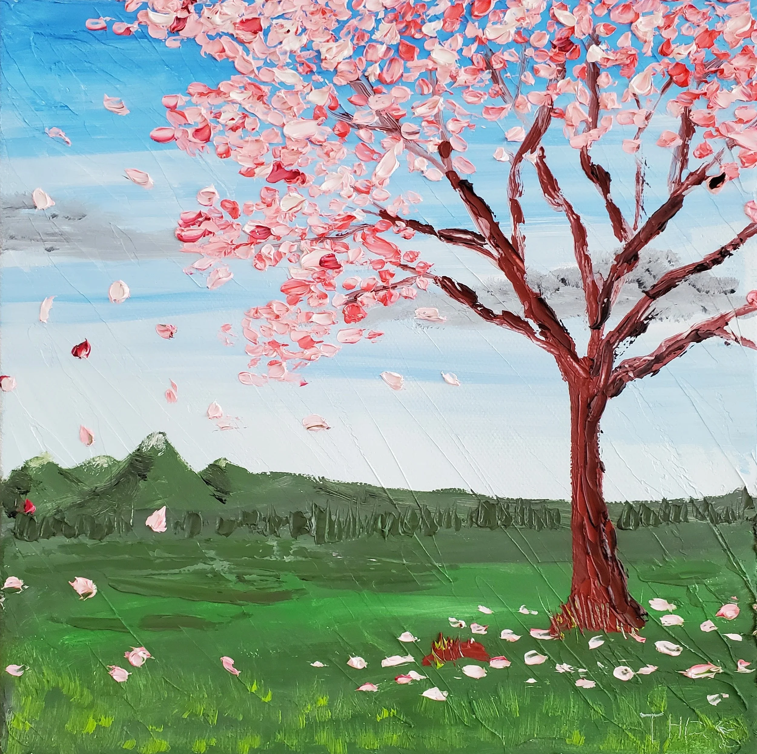Cherry Blossoms.jpg