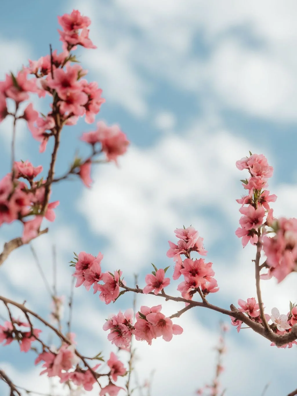 Please know I&rsquo;m using sarcasm with this audio. 😜I am always on the hunt for a beautiful location for your photo sessions. 😇Then multiple times a week I get to take clients to them! It&rsquo;s time to share some of the landscapes here. 🥰