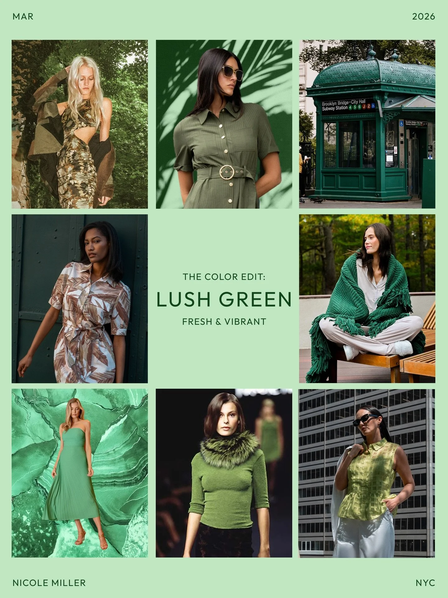 The Color Edit: Lush Green

Fresh &amp; Vibrant 💚🍀🌴🌱🐢🌳🫒🦎