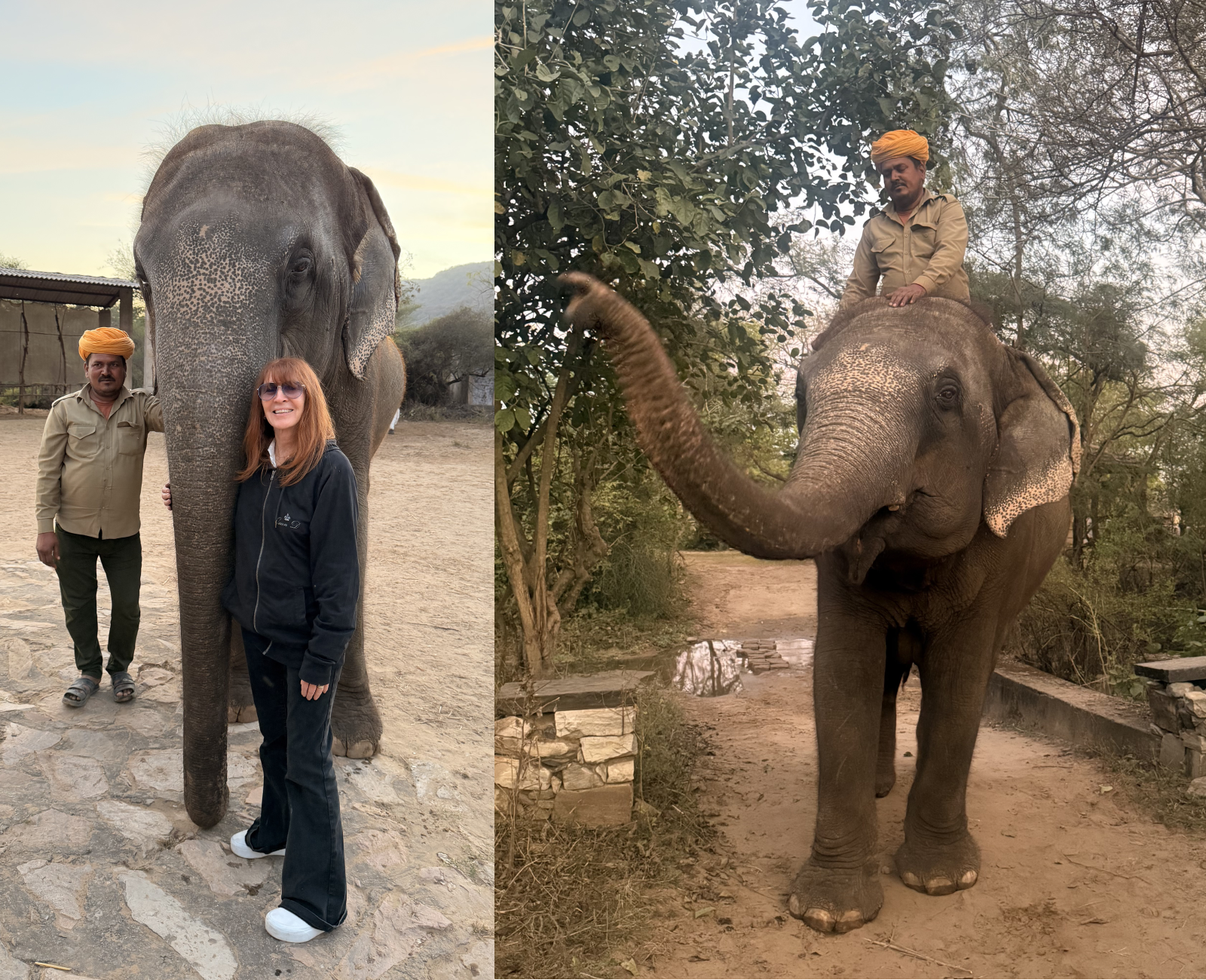 Dera Amer Elephant Sanctuary