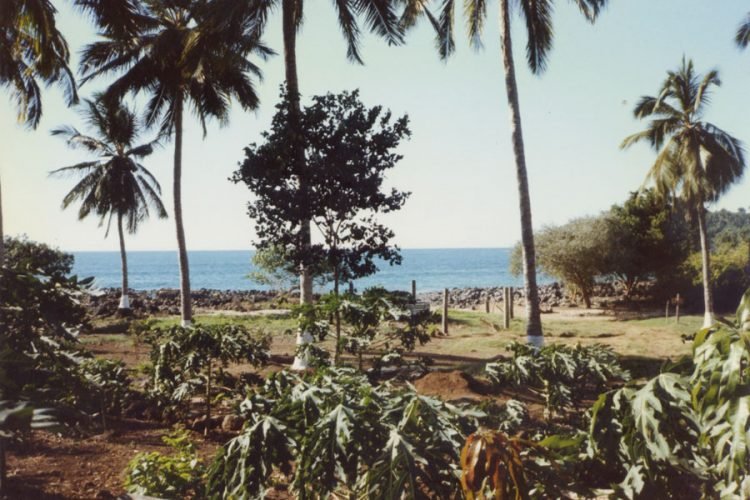 EXTRATERRESTRE EN LA PLAYA