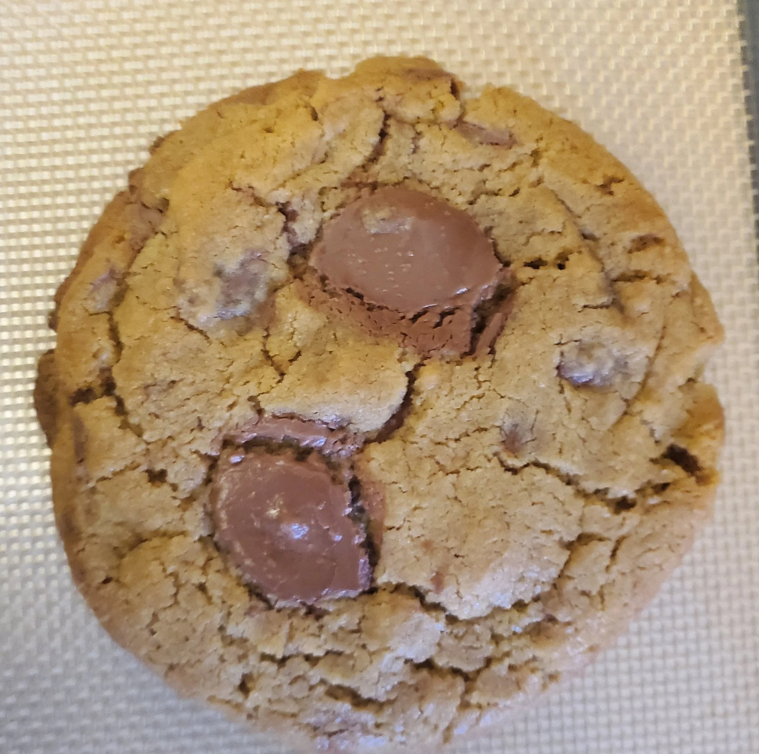 Gluten-Free Milk Chocolate Chip Cookies