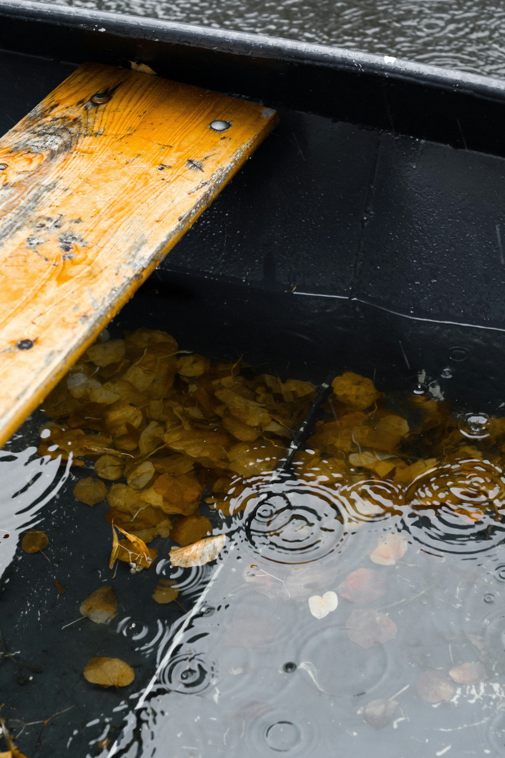 A wooden boat dock with a black painted interior, partially submerged in water with fallen leaves, raindrops, and ripples.