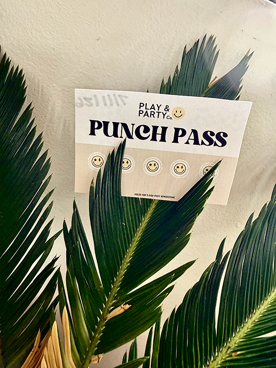 5-Day Pass to Play & Party Co.