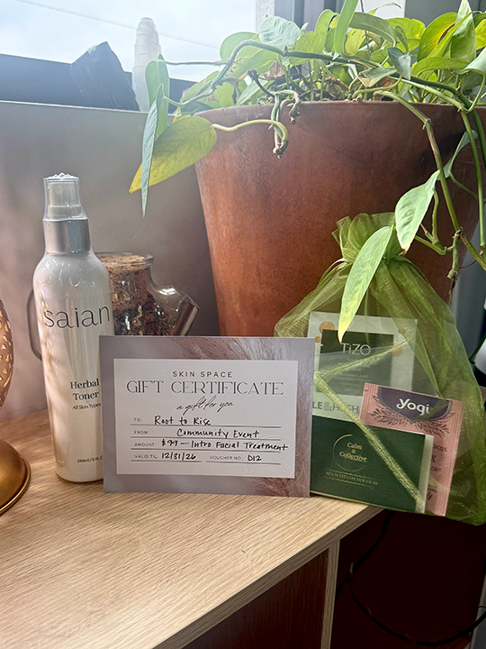 Intro Facial & Toner from Skin Space