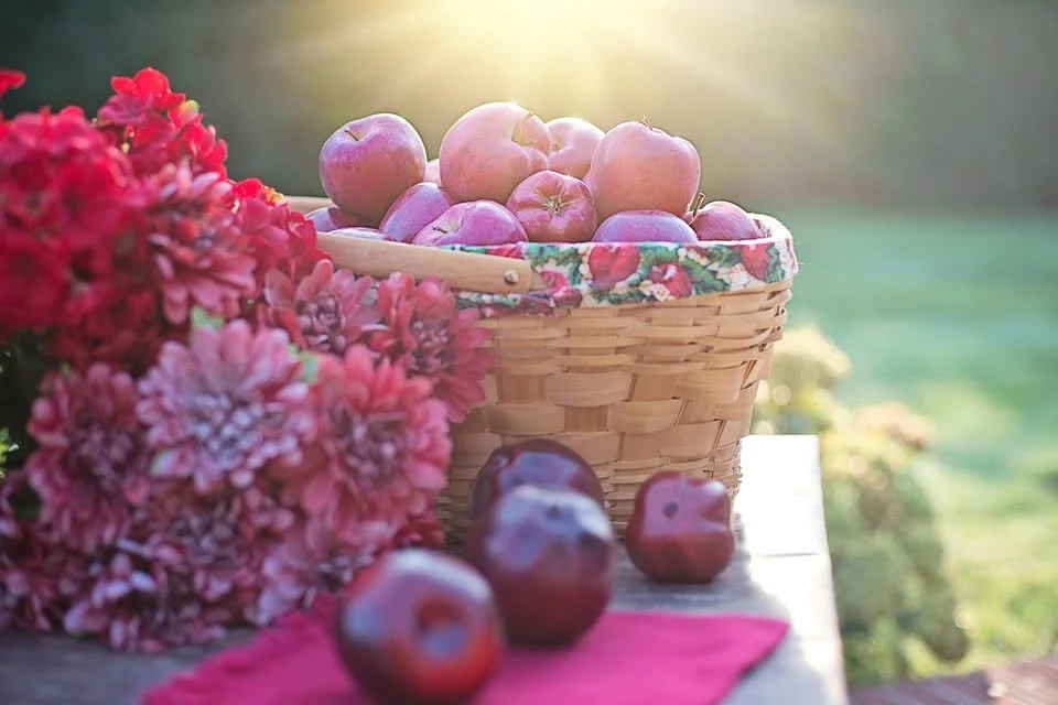 Fall into the Holidays
