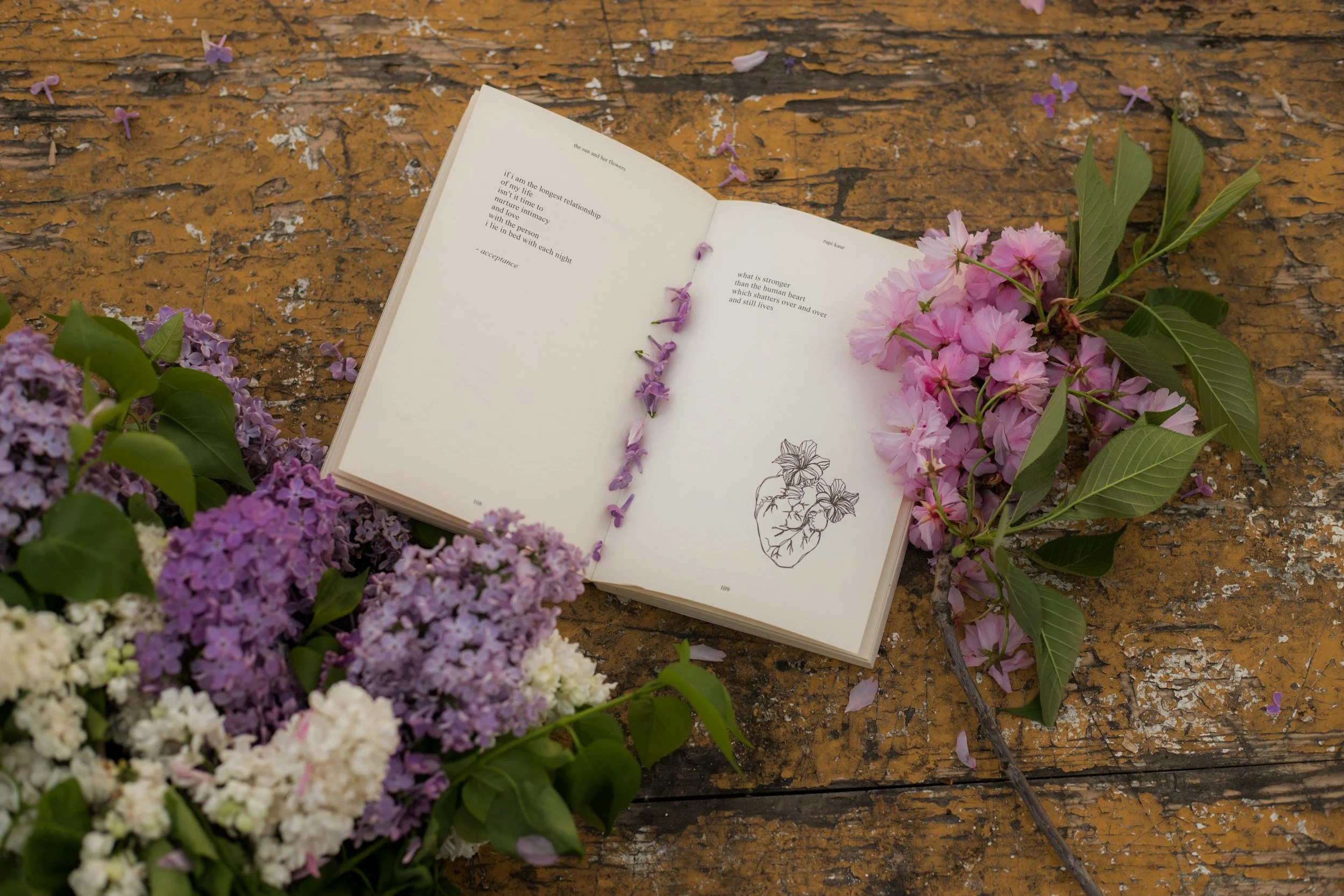 Open book on a wooden surface surrounded by purple and pink flowers with green leaves.