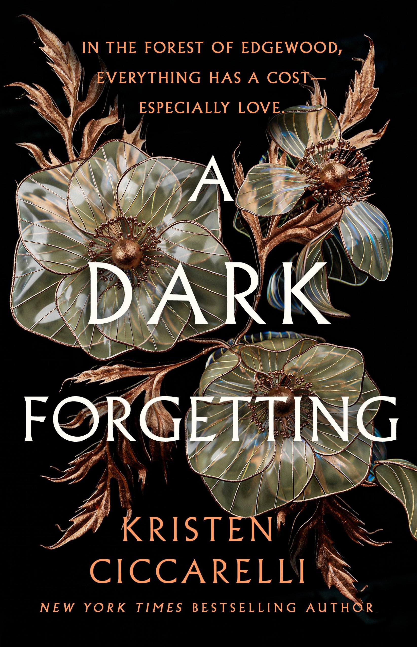 A Dark Forgetting by Kristen Ciccarelli