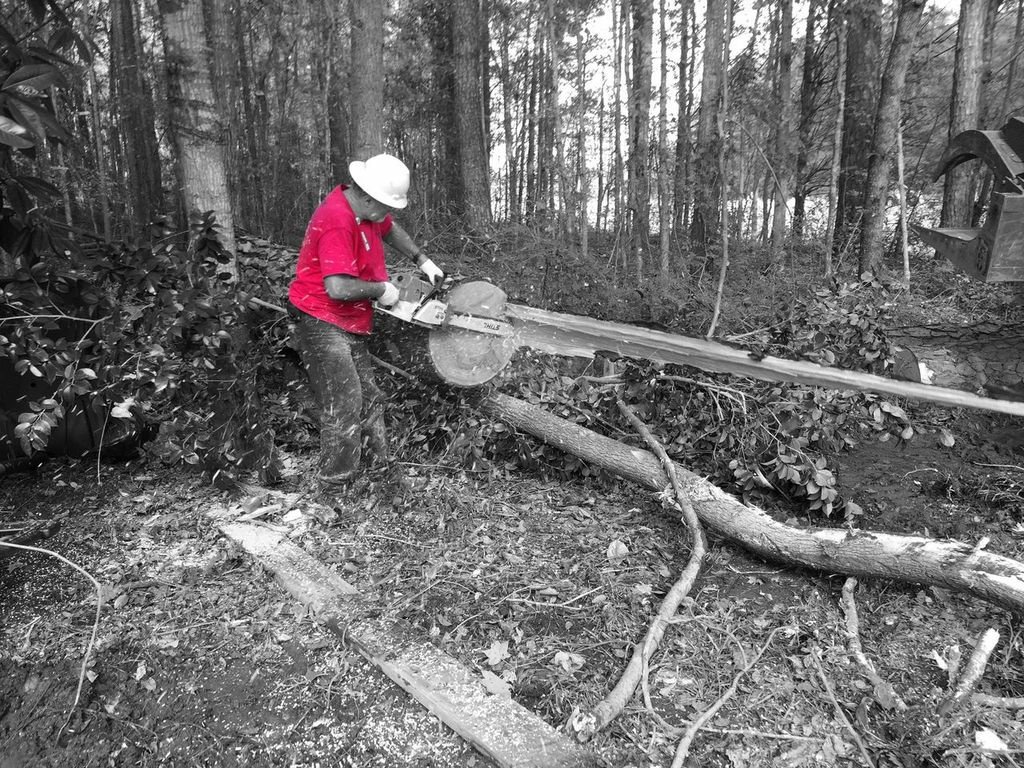 Chainsaw Basics: Maintenance & Safety WI