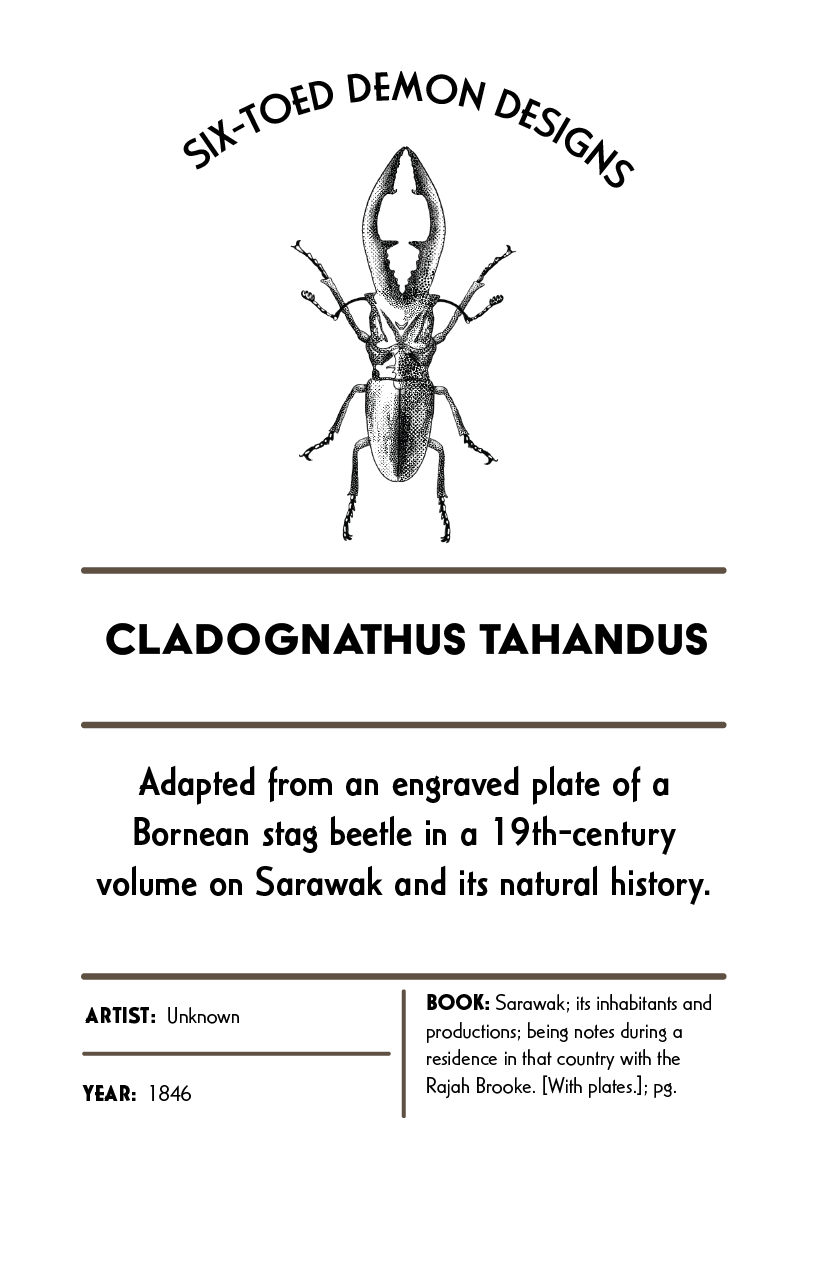 Info Tags Final without lines.png