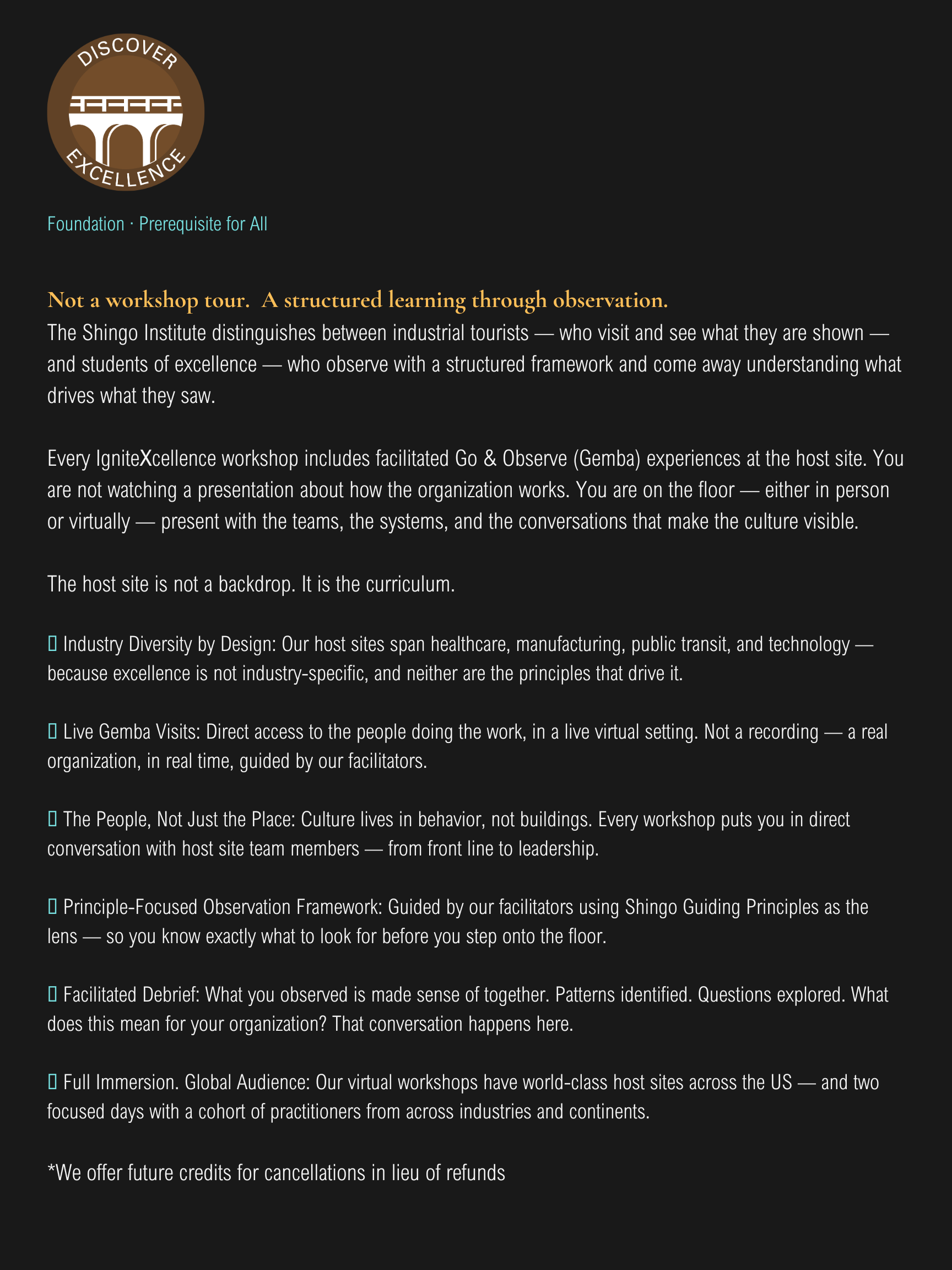 DE Flyer (1).png