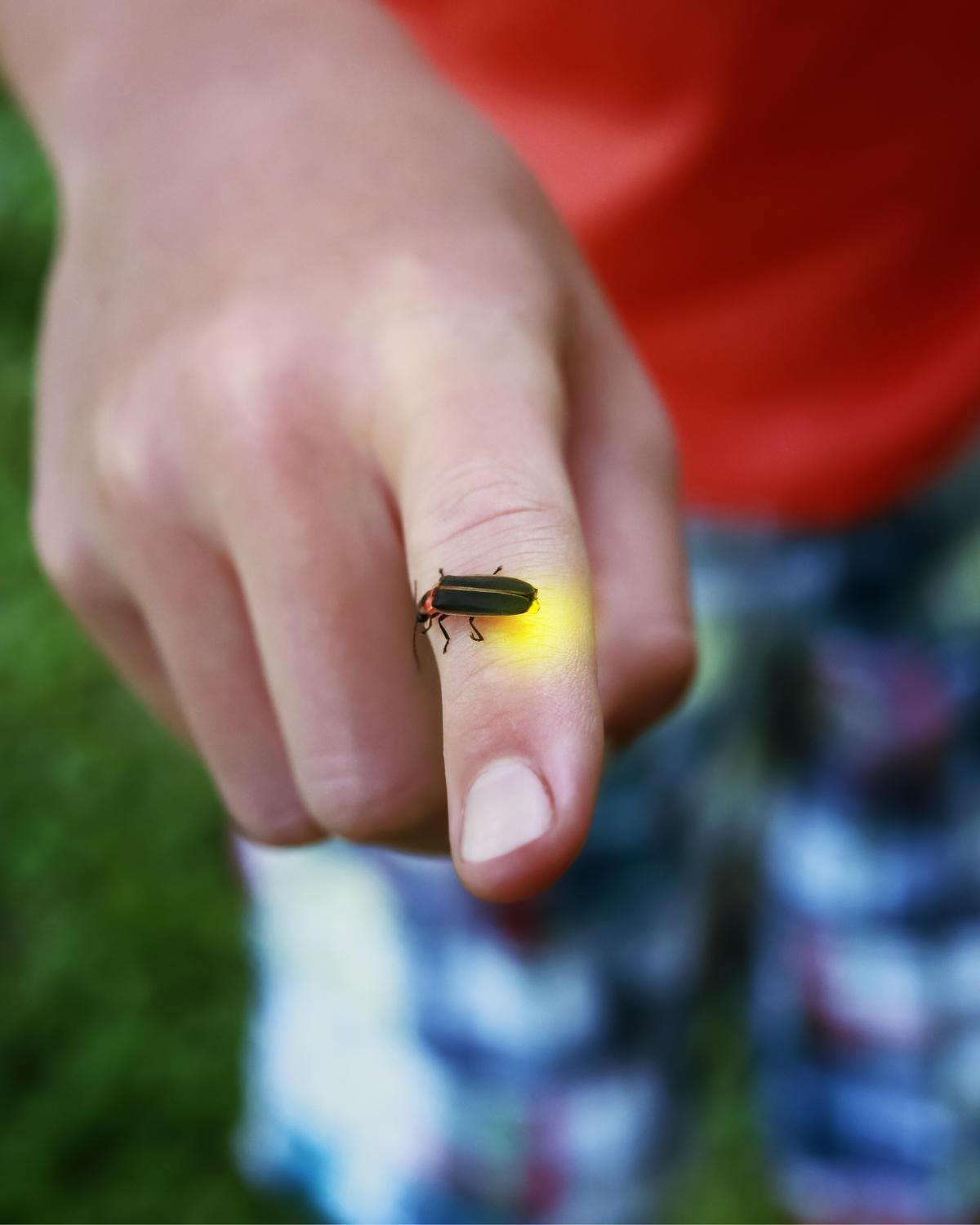 Curiosity with Structure: My First Lesson in Shingo (Before I knew Shingo)