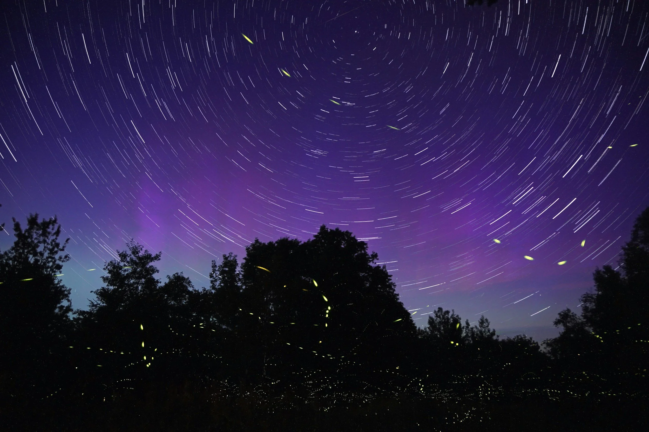 The Myth of Extraordinary: The Firefly Principle