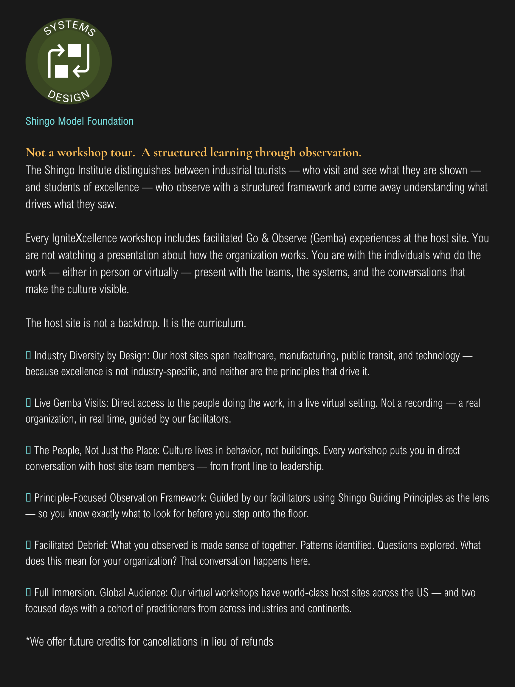 SD Flyer.png