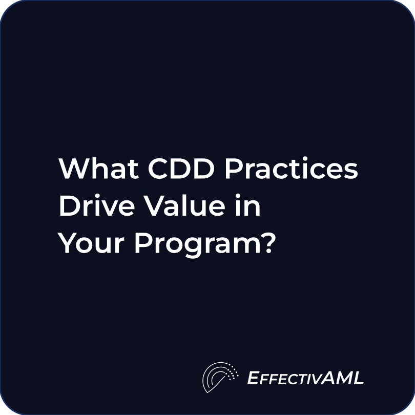 effective-aml-004_Page 8.png