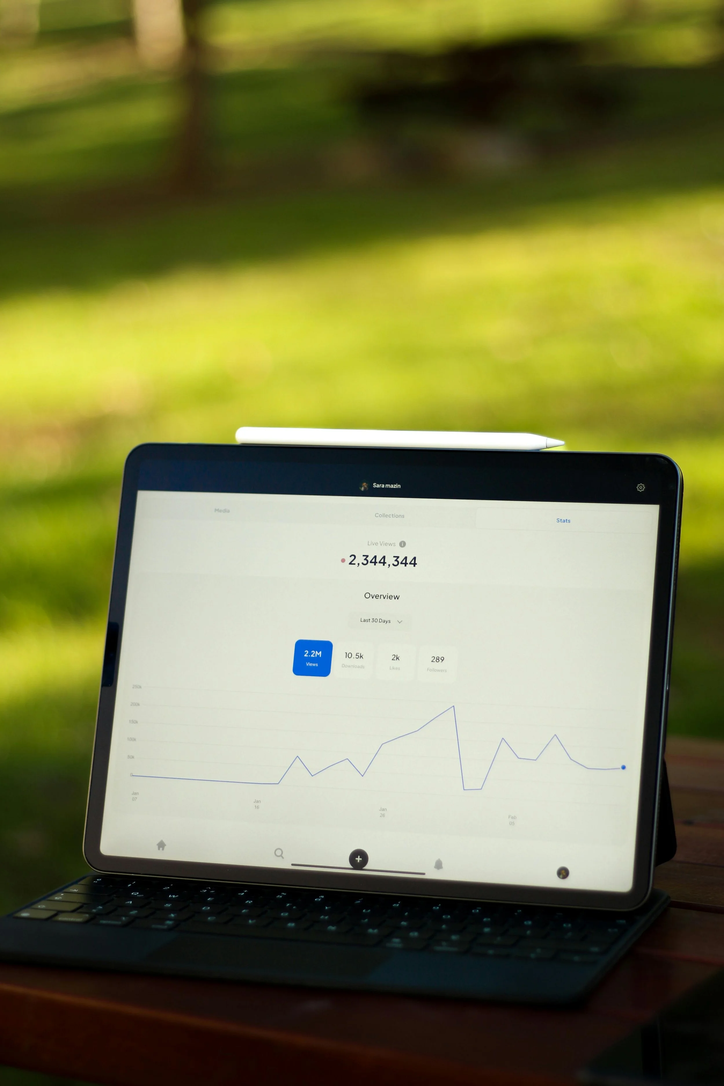 A laptop computer displaying a social media analytics dashboard with a graph showing trends and the number of views, set on a wooden surface with a blurred grassy outdoor background.
