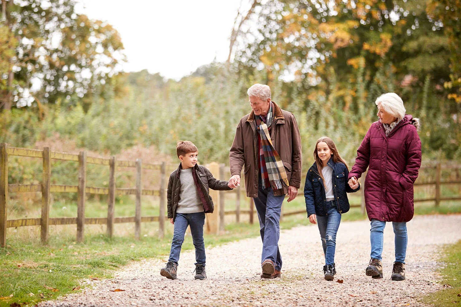 A family of four walking down a gravel path in a park during autumn. The grandparents are holding hands with their grandchildren, smiling and enjoying the fall scenery with trees with orange and green leaves in the background.