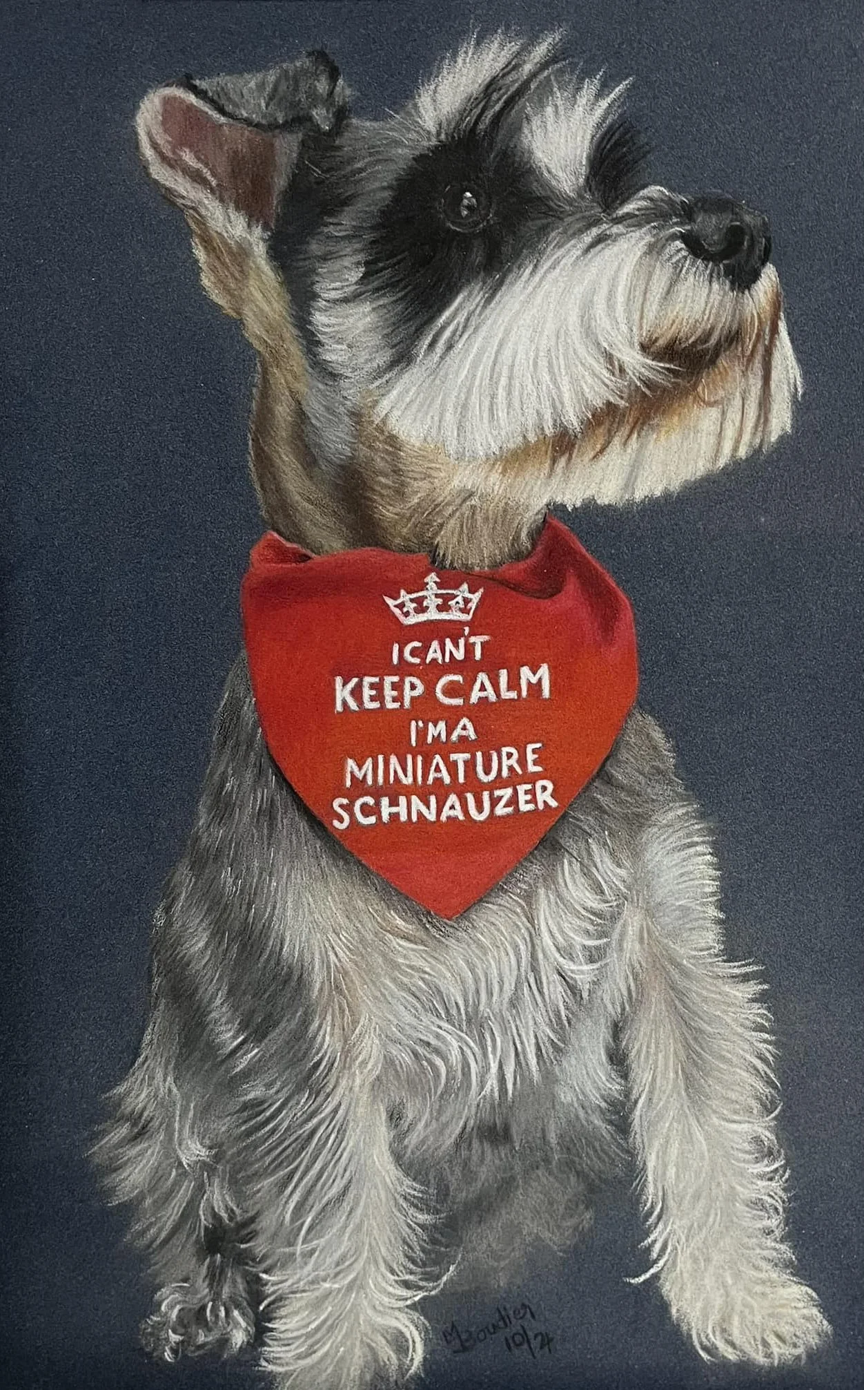 Miniature Schnauzer.jpg