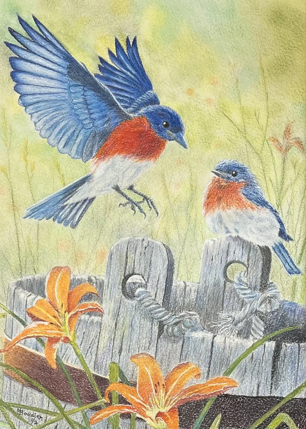 Bird 4.jpg
