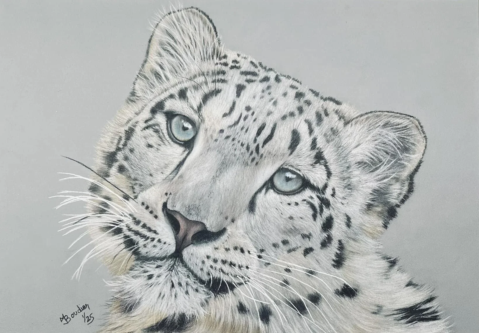 Snow Leopard
