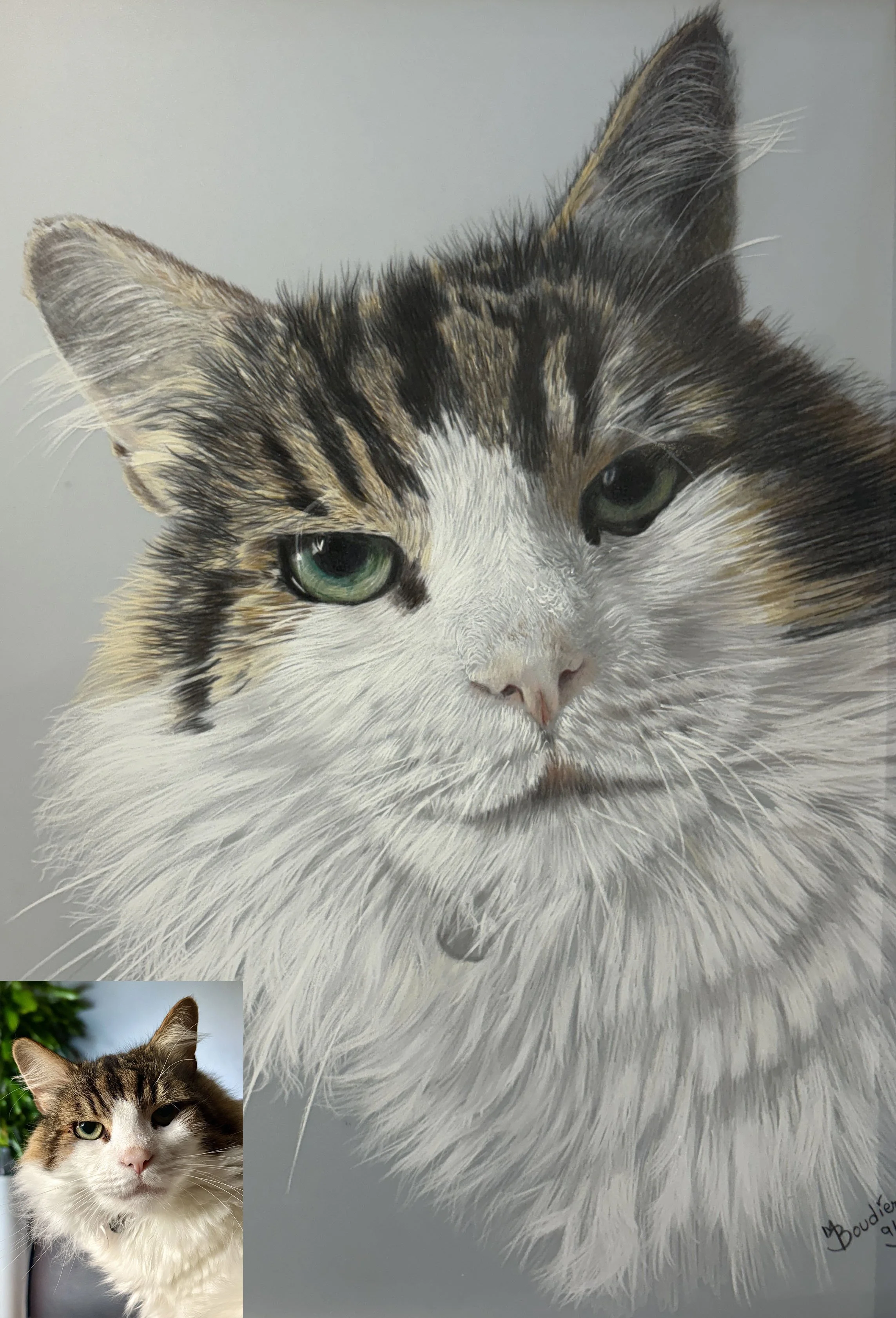 Frankie 1