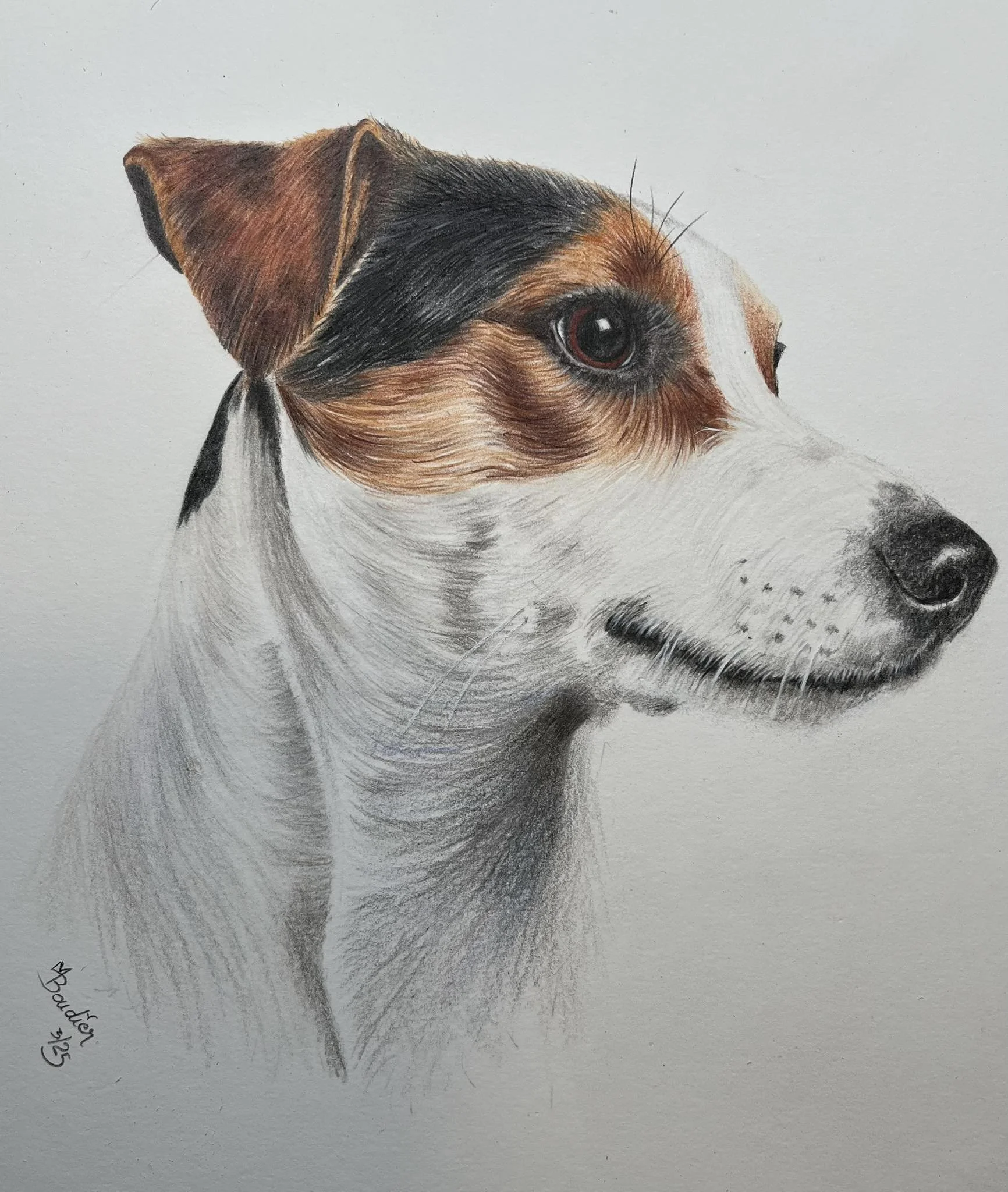 Jack Russell